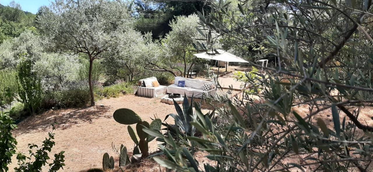La Villa Jasmin Montauroux Εξωτερικό φωτογραφία