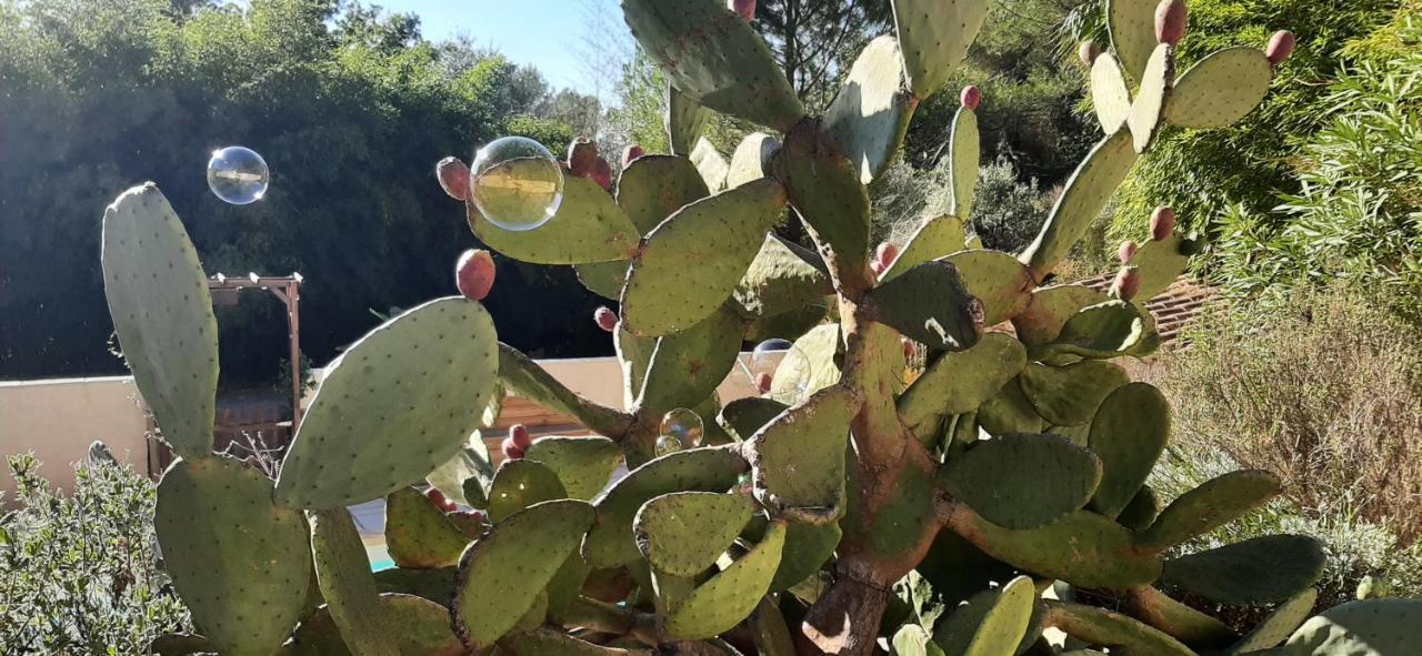 La Villa Jasmin Montauroux Εξωτερικό φωτογραφία