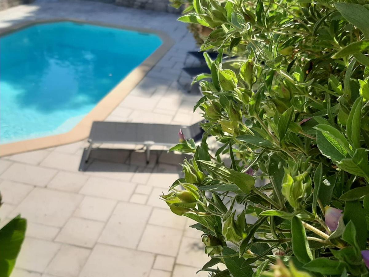 La Villa Jasmin Montauroux Εξωτερικό φωτογραφία